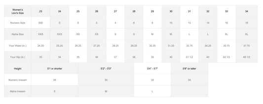 LEVI'S WOMEN'S CINCH BAGGY JEANS IN BLUE STRIPE  (LOC1)