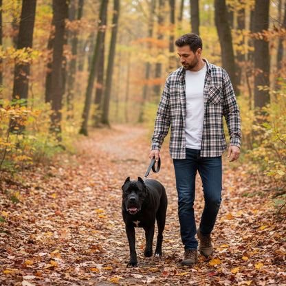 ZANEROBE MEN'S LONG SLEEVE BUTTON-DOWN FLANNEL SHIRT  (LOC11)
